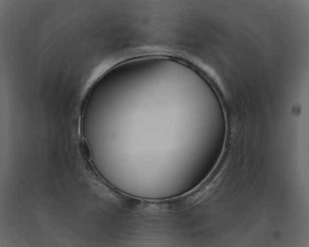 X0000090931365200708271036