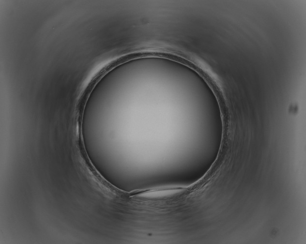 X0000090931368200708271036