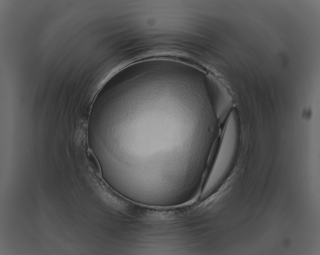 X0000090931369200708271036