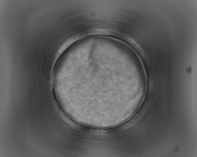 X0000090931370200708271036