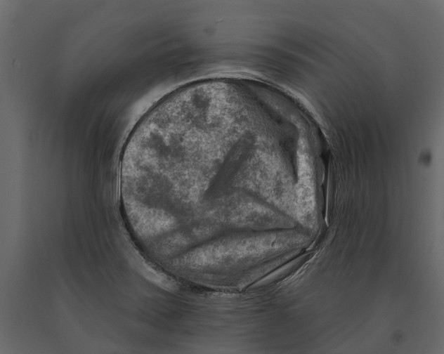 X0000090931371200708271036