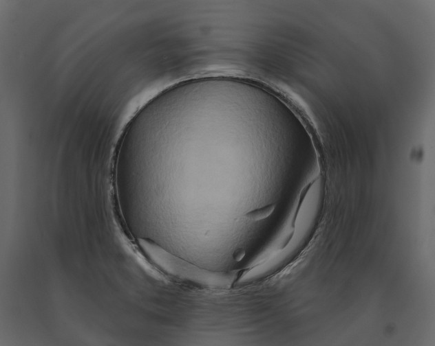 X0000090931373200708271036