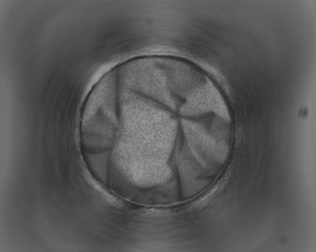 X0000090931374200708271036