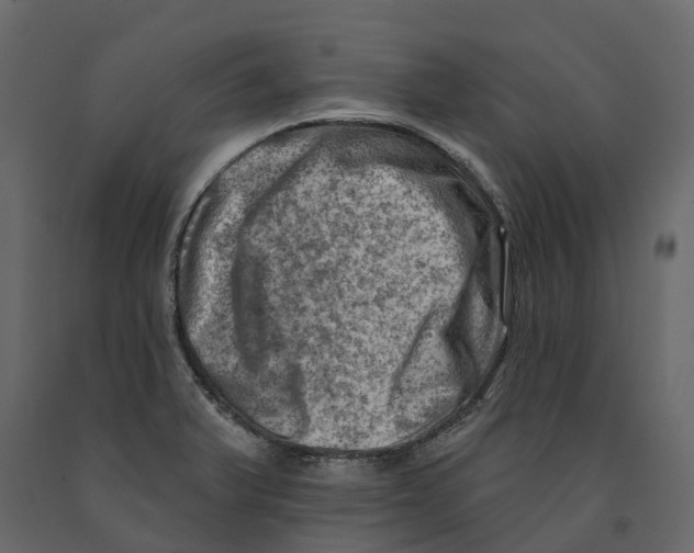 X0000090931375200708271036