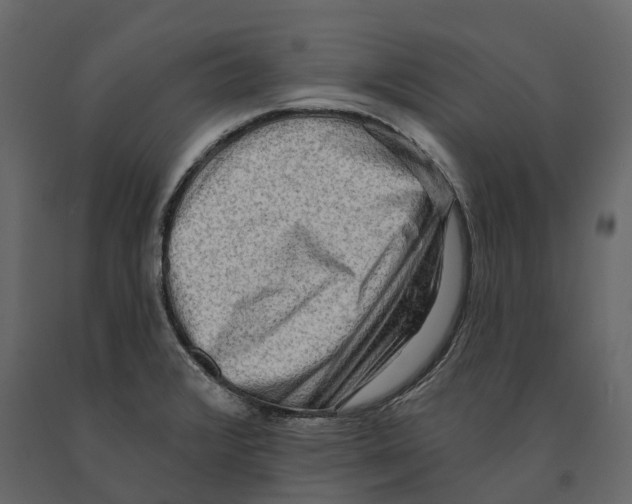 X0000090931376200708271036