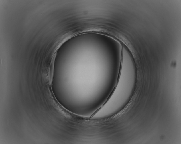 X0000090931377200708271036