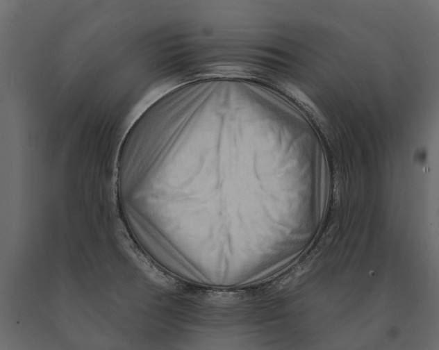 X0000090931378200708271036