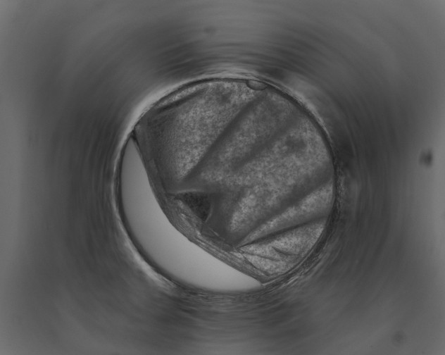 X0000090931379200708271036