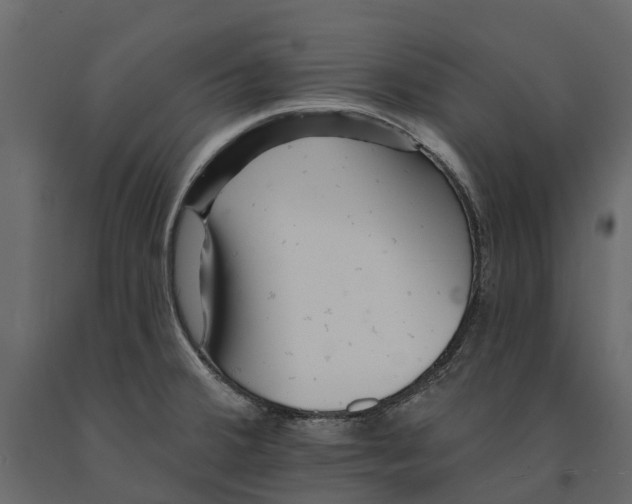 X0000090931380200708271036