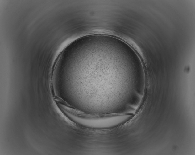 X0000090931381200708271036