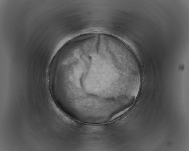 X0000090931382200708271036