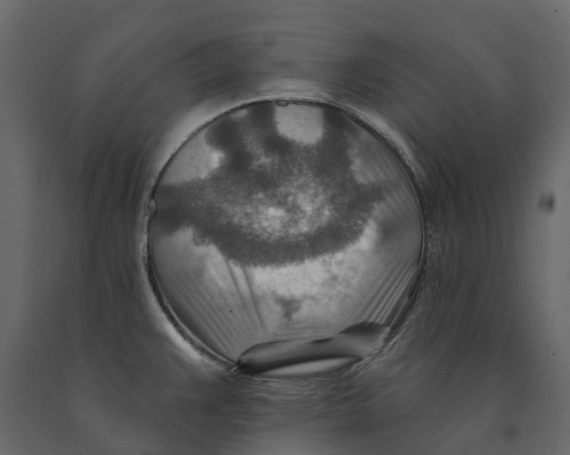 X0000090931383200708271036