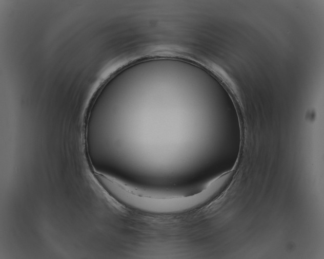 X0000090931384200708271036