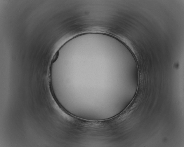 X0000090931387200708271036