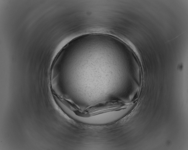 X0000090931389200708271036