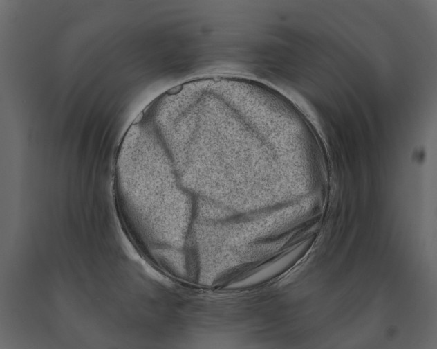 X0000090931390200708271036