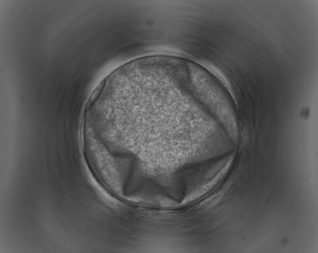 X0000090931391200708271036