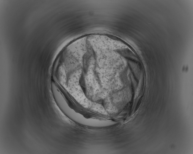 X0000090931392200708271036