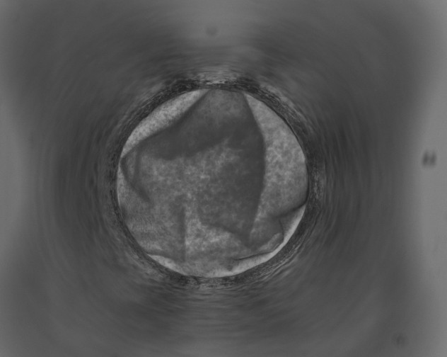 X0000090931393200708271035