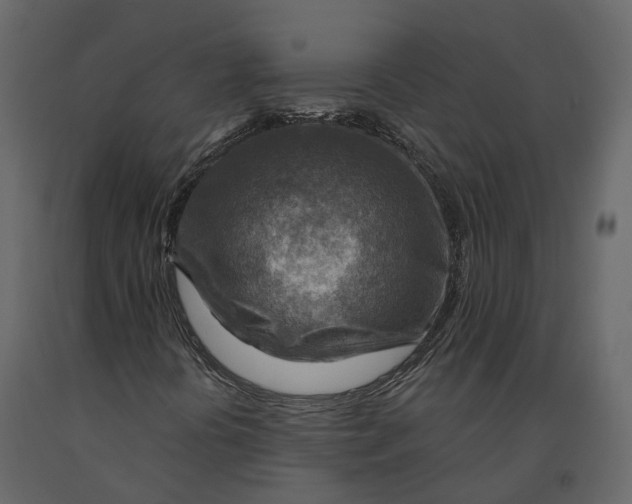 X0000090931394200708271035