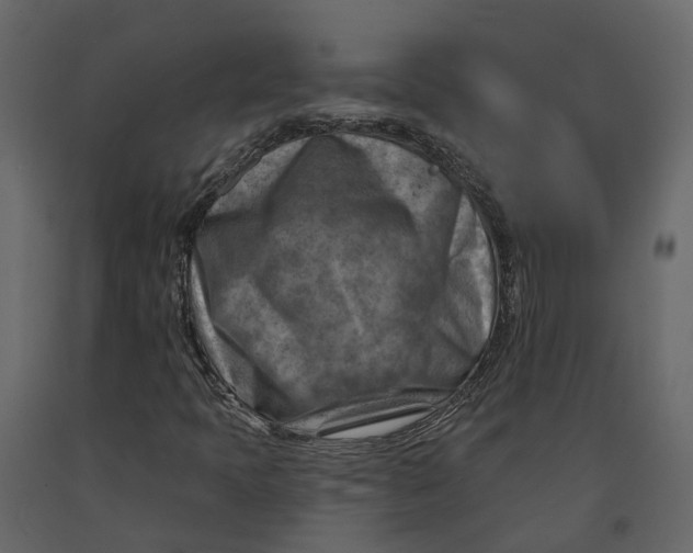 X0000090931397200708271035