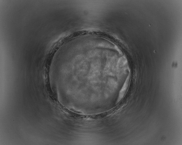 X0000090931398200708271035