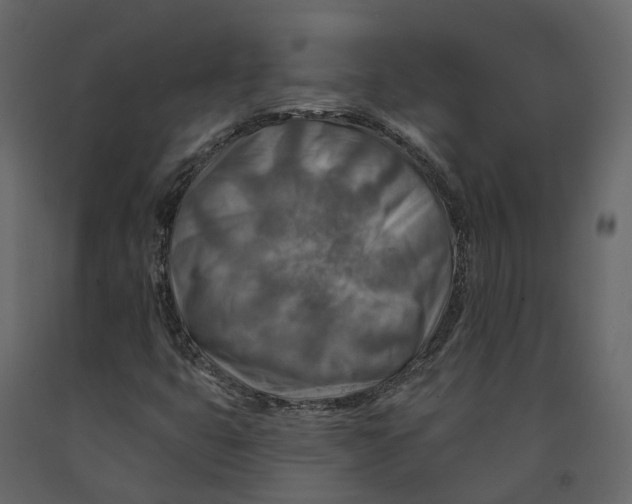 X0000090931399200708271035