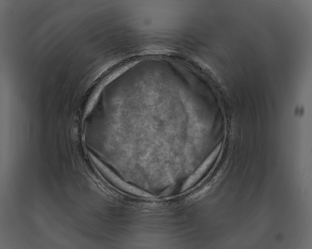 X0000090931401200708271035