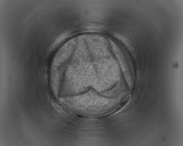 X0000090931403200708271035