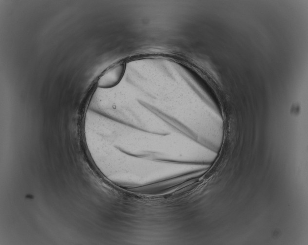 X0000090931404200708271035