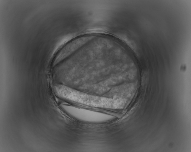 X0000090931405200708271035