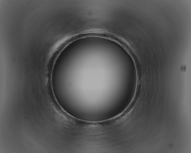 X0000090931406200708271035