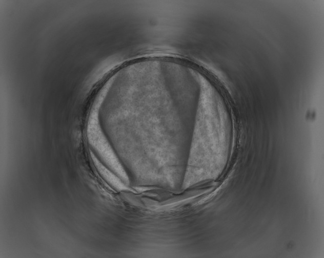 X0000090931407200708271035