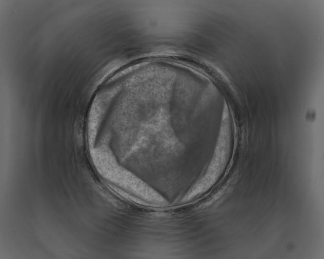 X0000090931409200708271035