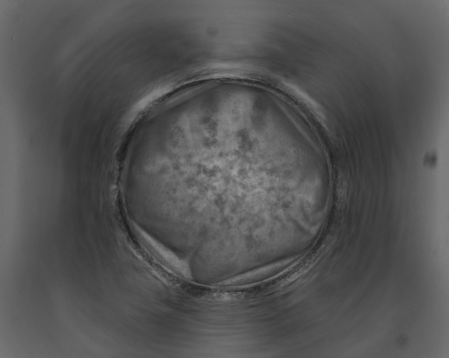 X0000090931411200708271035