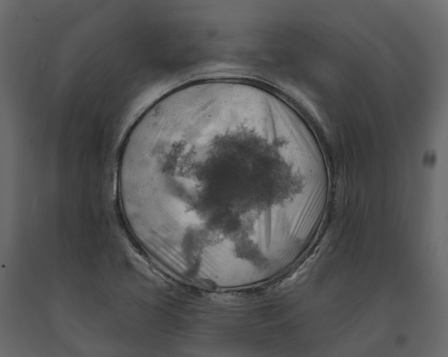 X0000090931413200708271035