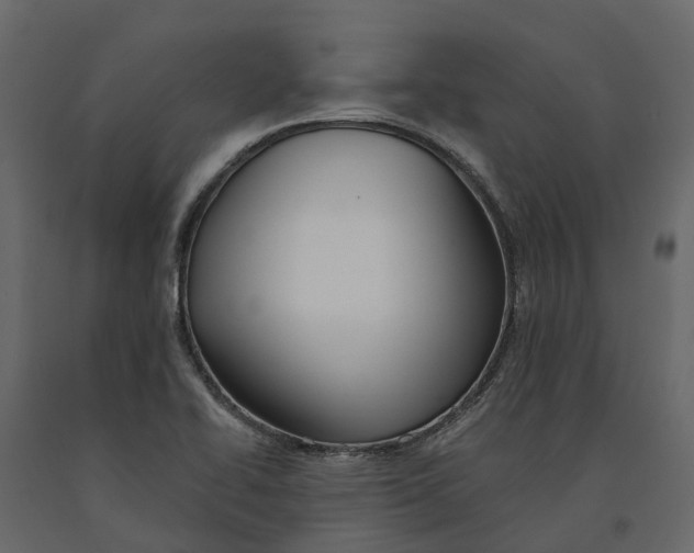 X0000090931414200708271035