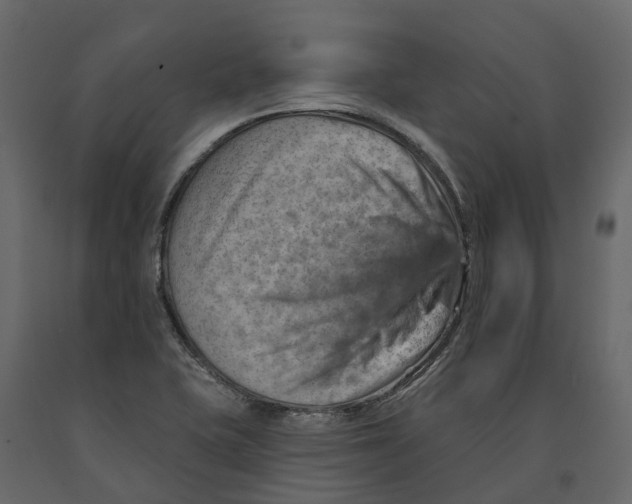 X0000090931415200708271035