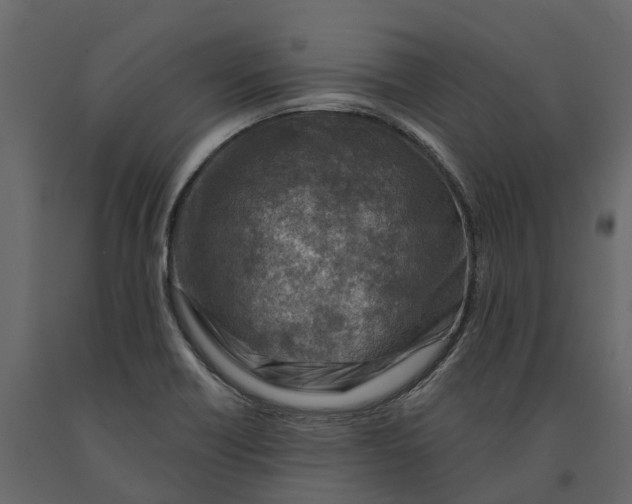 X0000090931418200708271035