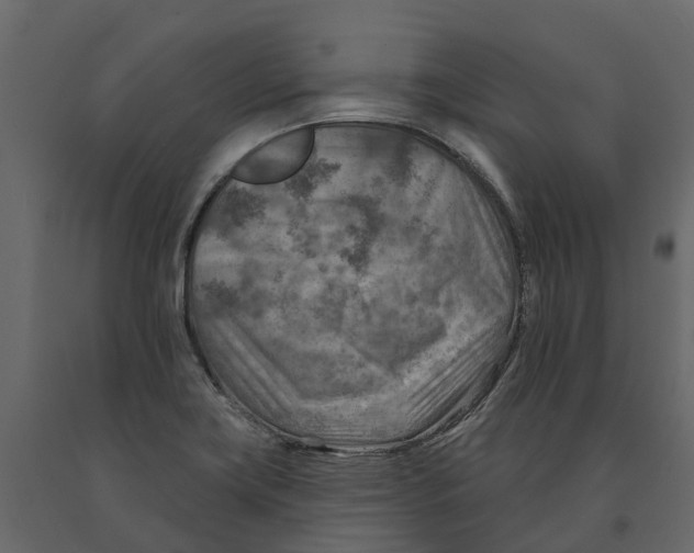 X0000090931419200708271035