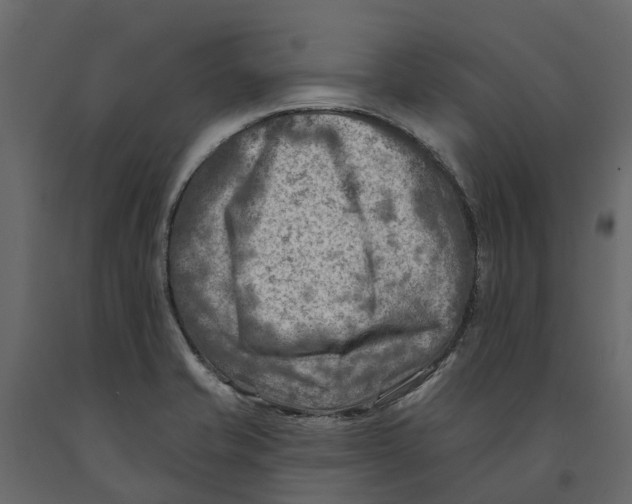 X0000090931421200708271035