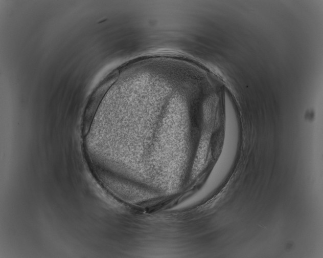 X0000090931422200708271036