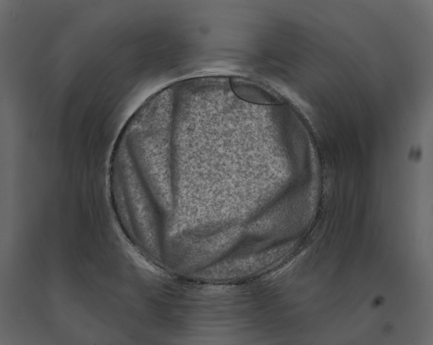 X0000090931423200708271036