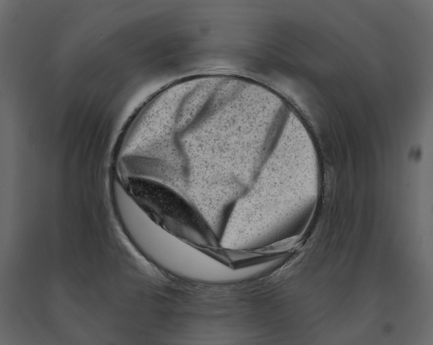 X0000090931424200708271036