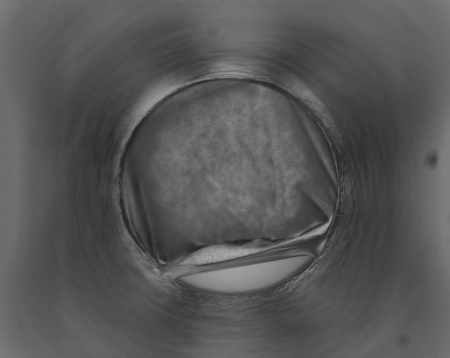 X0000090931427200708271036