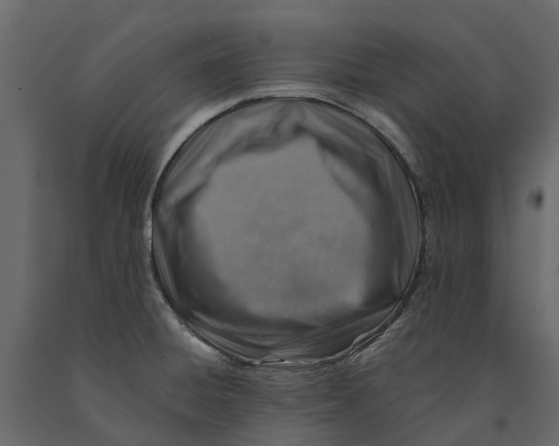 X0000090931428200708271036