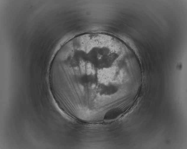 X0000090931429200708271036