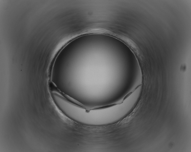 X0000090931430200708271036