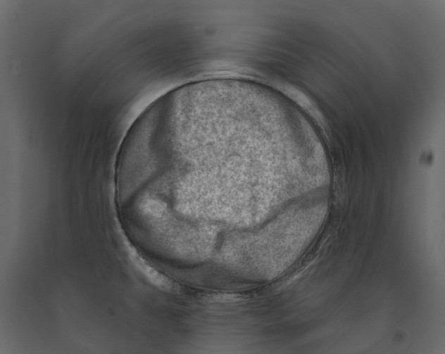 X0000090931431200708271036