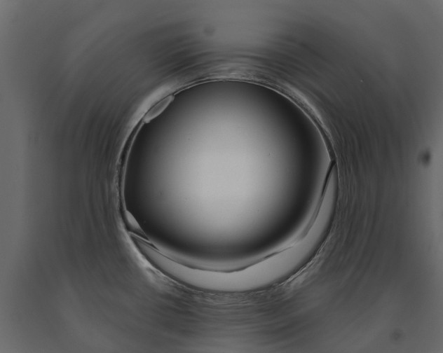 X0000090931434200708271036